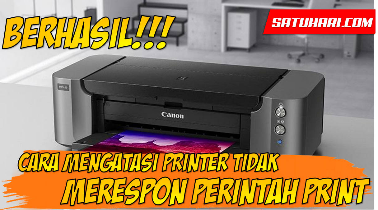 Penyebab Printer Tidak Merespon Perintah Print + Cara Mengatasi Printer Tidak Terdeteksi Not Responding