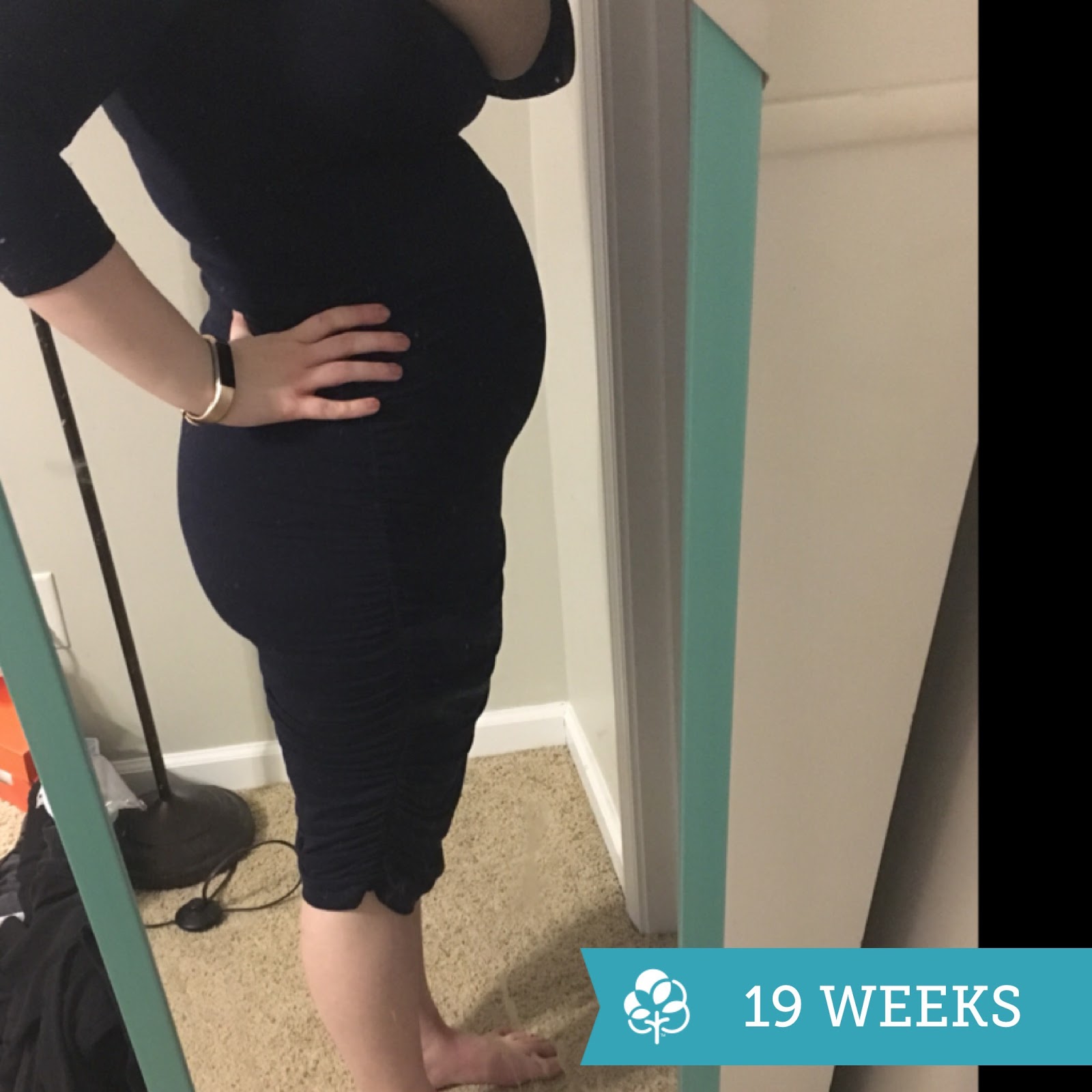 minted meagan: 19 weeks; baby is the size of a pint of ice cream