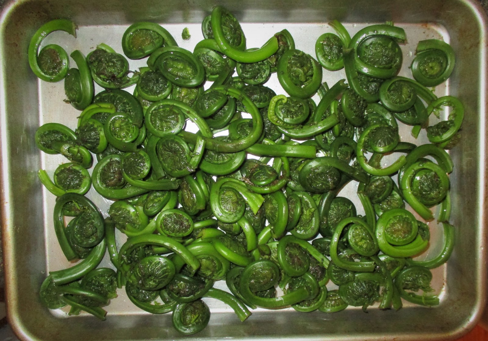 Christine's Cooking: Fiddlehead Ferns