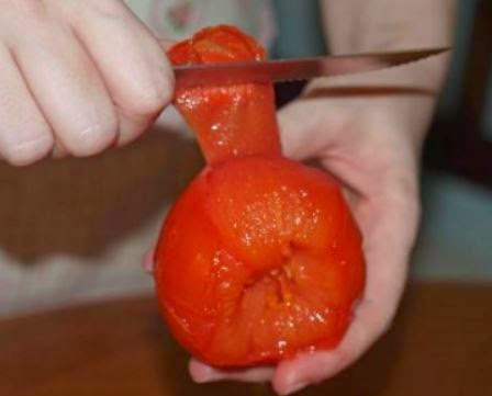 Πως καθαρίζουμε σουπιά – καλαμάρι – γαύρο – ντομάτα – αγκινάρα