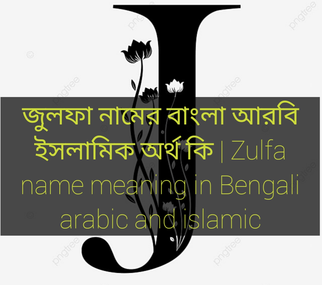 zulfa name meaning in Bengali, জুলফা নামের অর্থ কি, জুলফা নামের বাংলা অর্থ কি, জুলফা নামের ইসলামিক অর্থ কি,