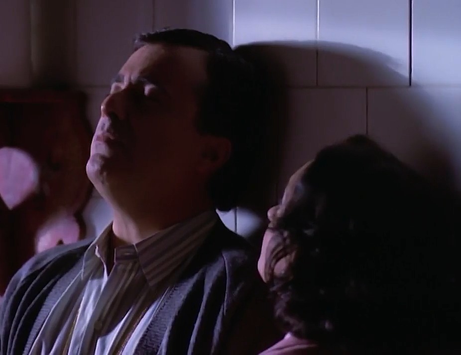 A VIDA COMO ELA É - MINISSÉRIE COMPLETA (NACIONAL/720P) – 1996 FormatFactory4