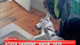 Babasını karıştıran Bebek