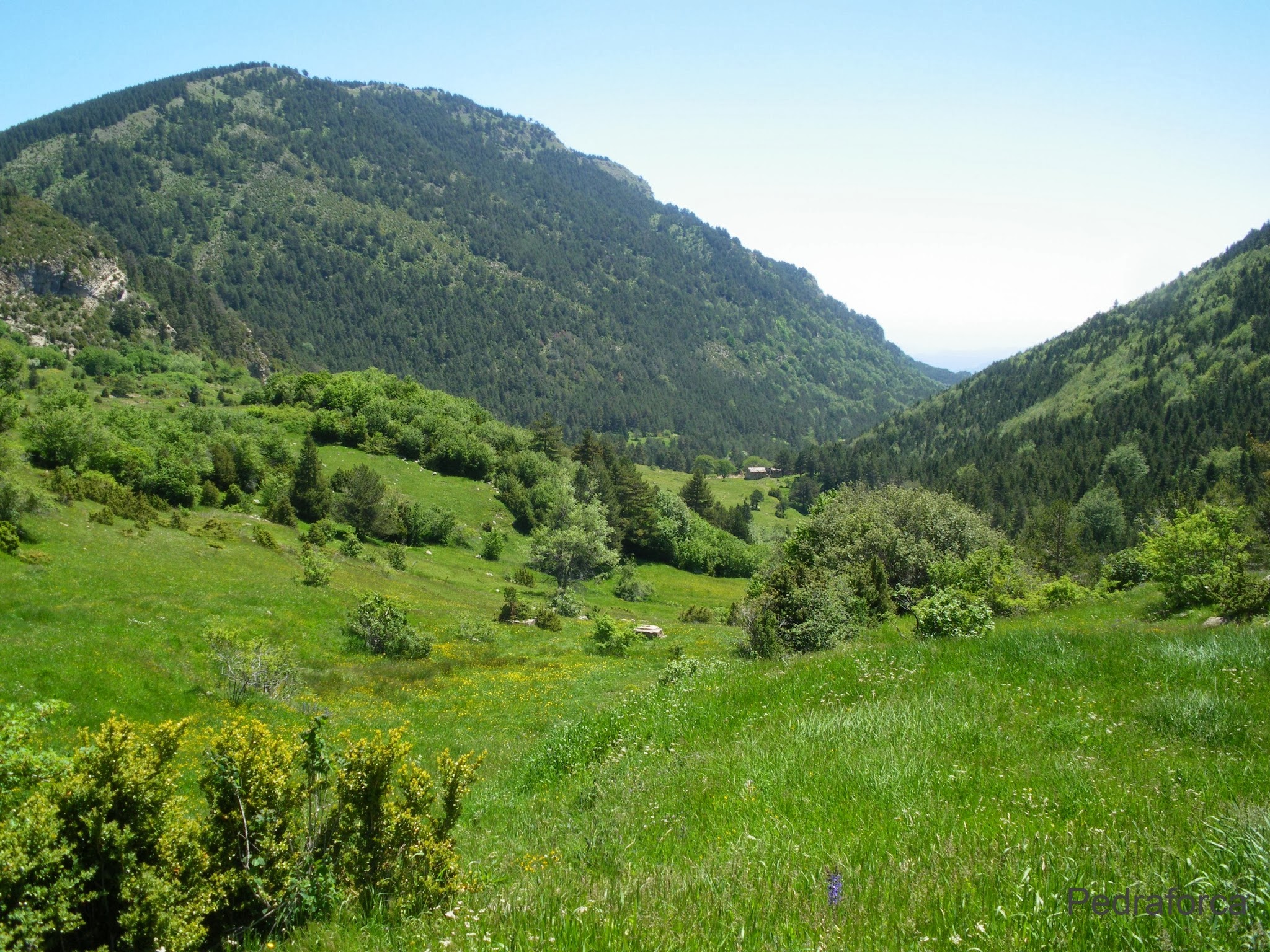 Vall de Peguera Alt Berguedà Serra d'Ensija