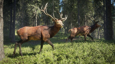 Thehunter Call Of The Wild 2021 Edition Game Screenshot 4