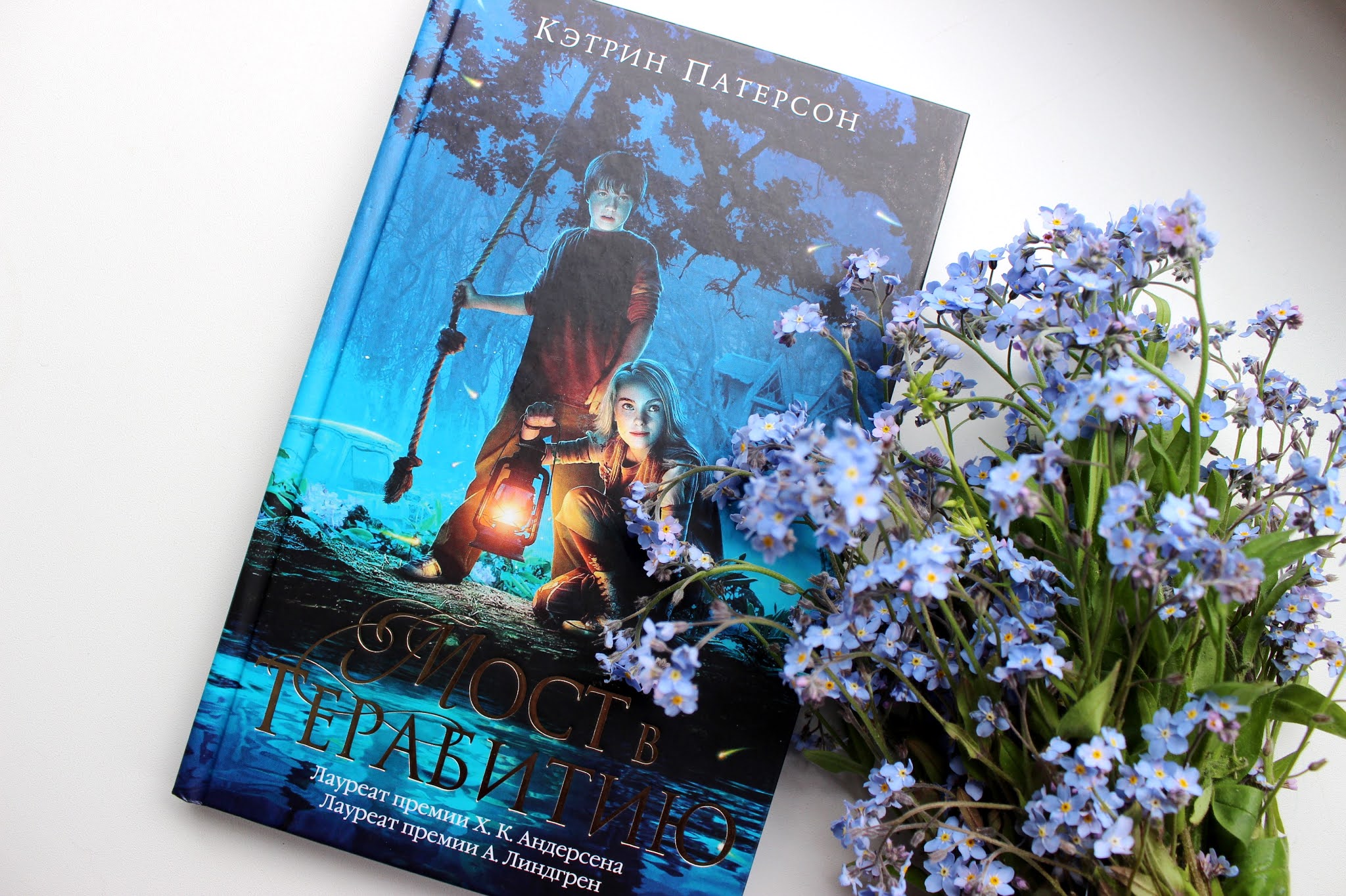 Книга мост в терабитию