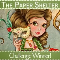 I WON at the Paper Shelter