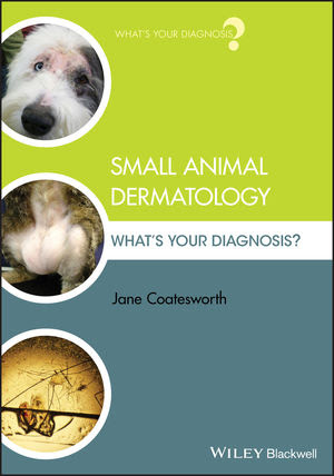 Small Animal Dermatology :what’s your diagnosis