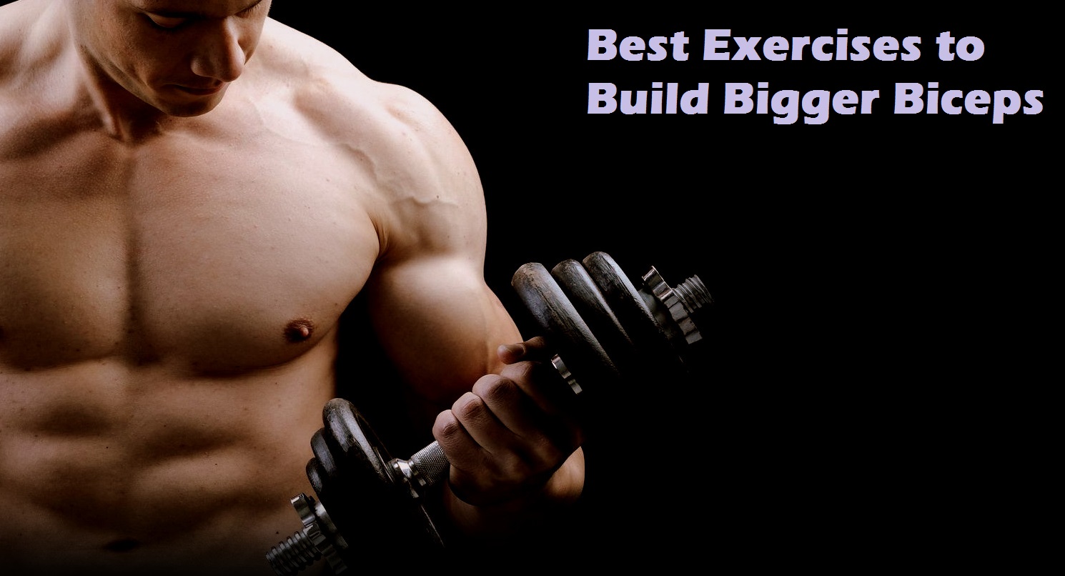 Muscle Palace Top 5 Muscle Building Biceps Exercises