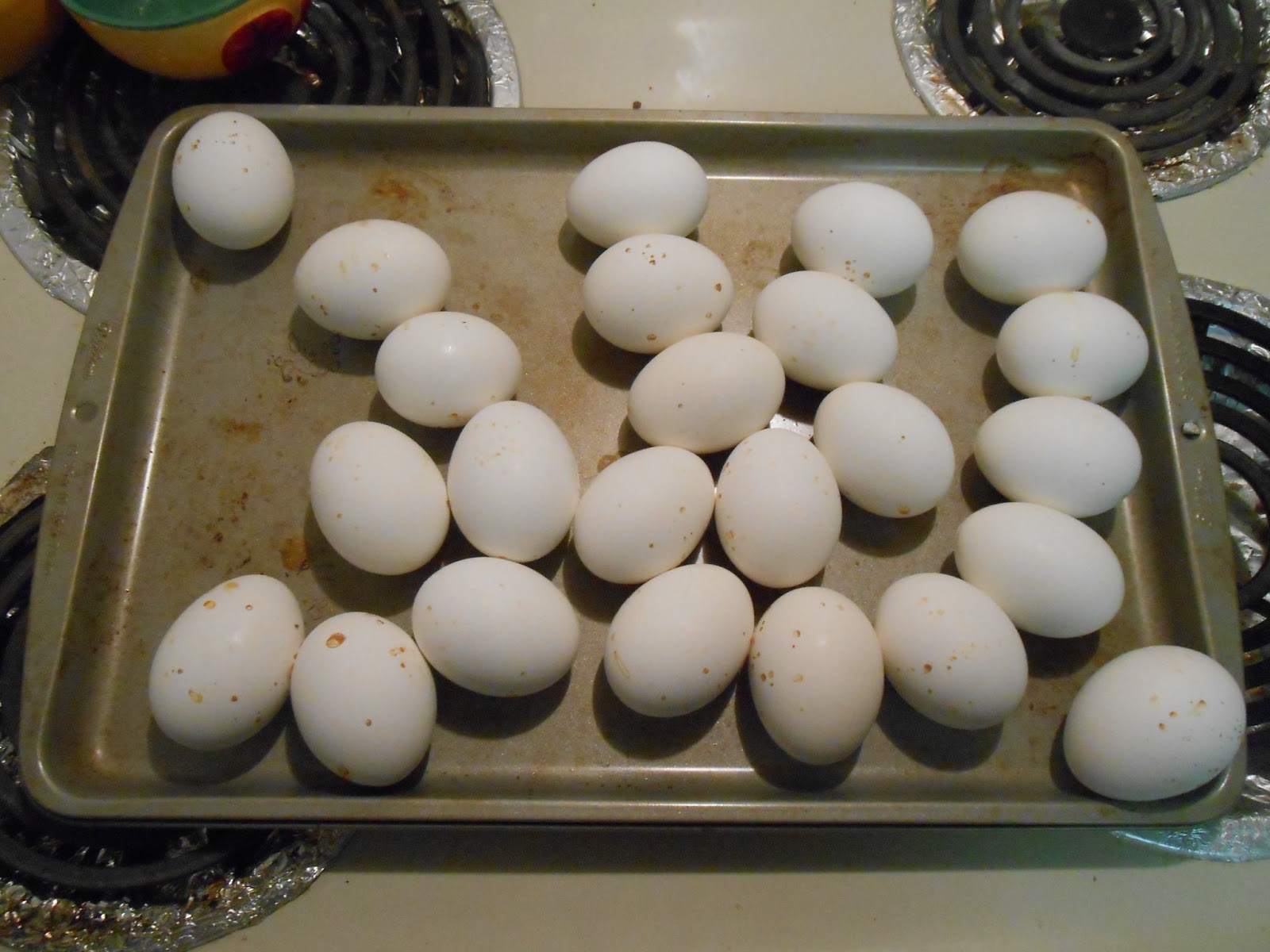 Recipes, crafts, and life!: OVEN HARD BOILED EGGS!