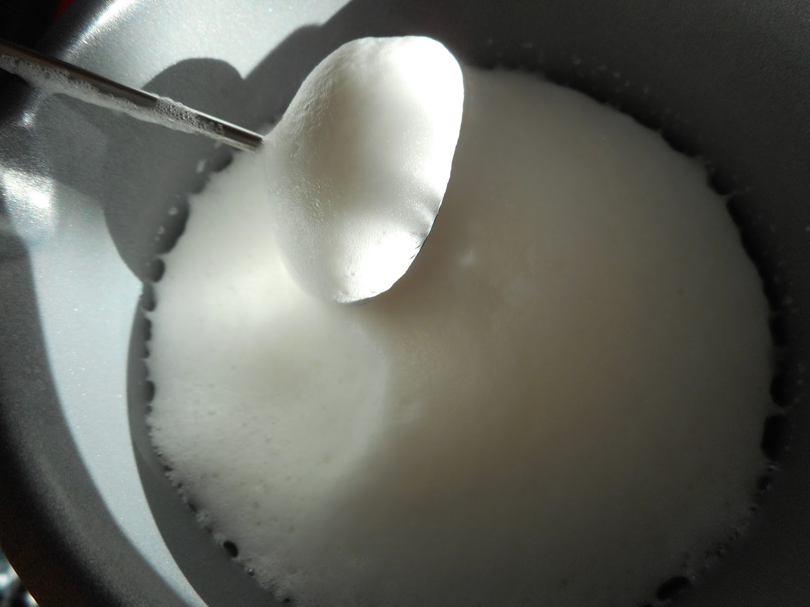 Lesa's Honest Reviews MIRA Automatic Electric Milk Frother