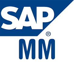 ice Verification Process - Inventory Management - SAP Implementation