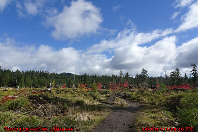 Gifford Pinchot National Forest - Ape Cave Interpretive Site