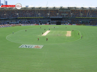 cricketstar: cricket star