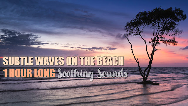  The Sound of Calm Waves