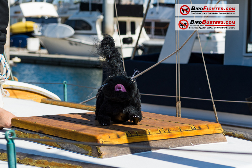 Keep Birds off your Boat using Boat Bird Deterrents!