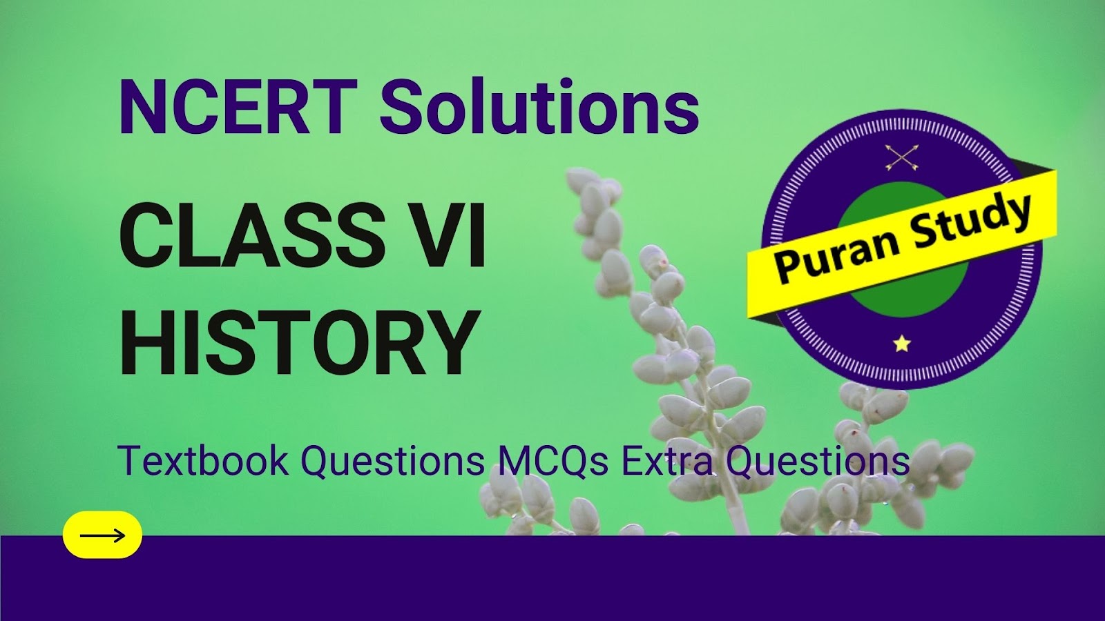 NCERT Chapter 5 Solution For Class 6 History SSt NCERT Chapter 5 Solution For Class 6 History SSt
