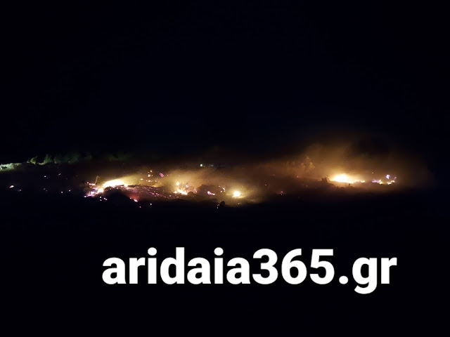 Πυρκαγιά στο Γαρέφι Αλμωπίας στην Αριδαία Πυρκαγιά στο Γαρέφι Αλμωπίας στην Αριδαία
