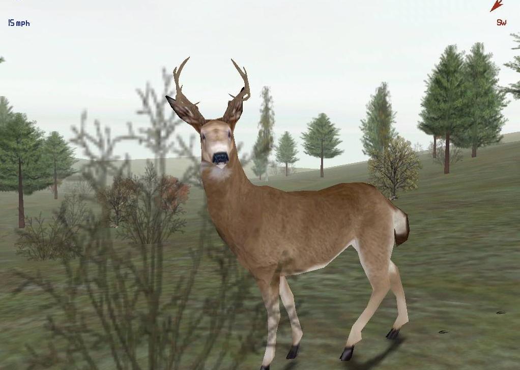 Deer hunter 4 no disk
