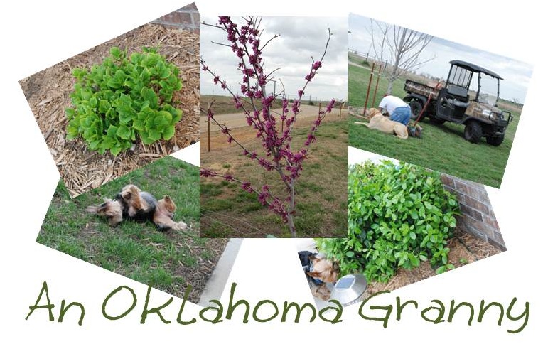 An Oklahoma Granny