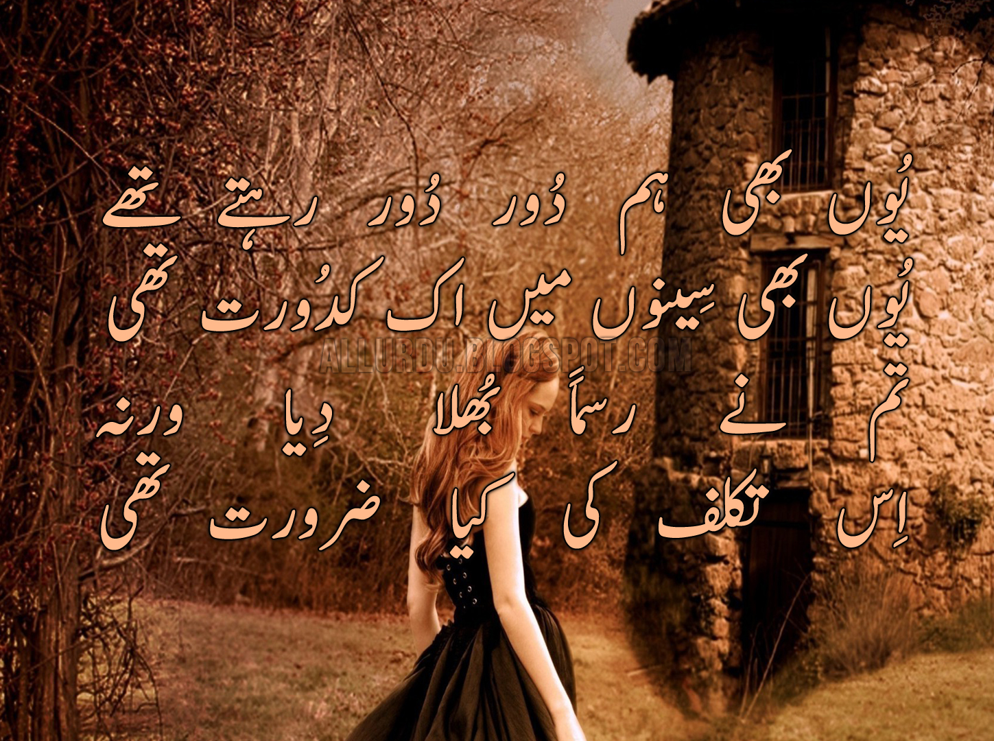 essay on poetry in urdu