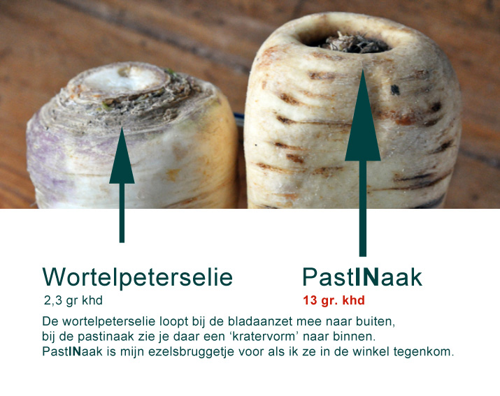 verschil-onderscheid-wortelpeterselie-peterseliewortel-pastinaak-1.jpg