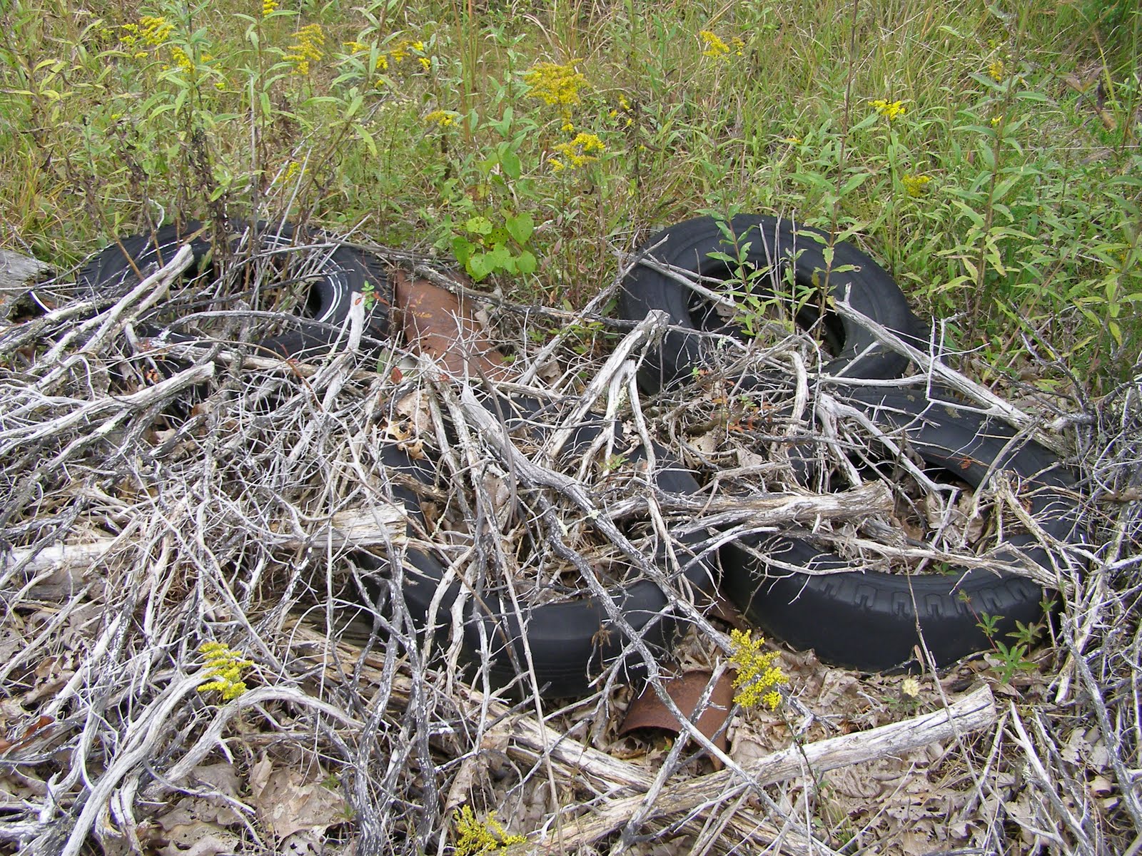 Blue Jay Barrens Tire Erosion Control