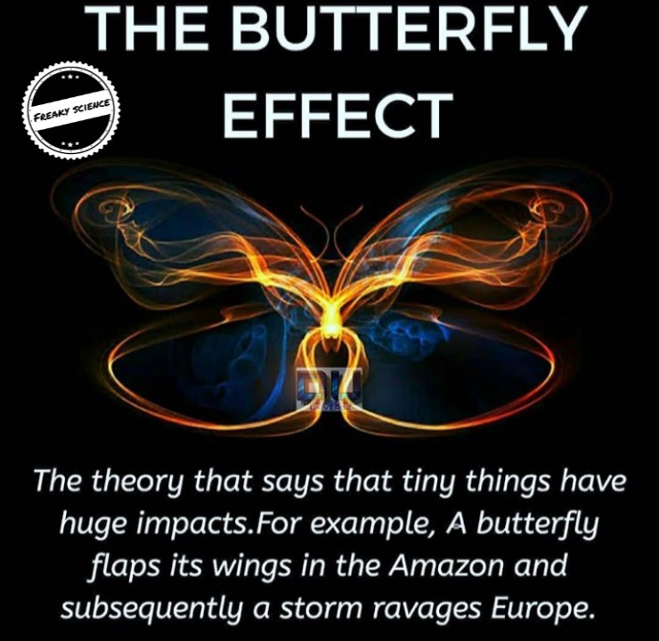What is butterfly effect?