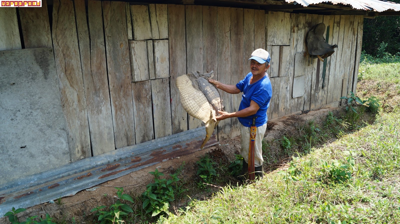 industrias la palomera