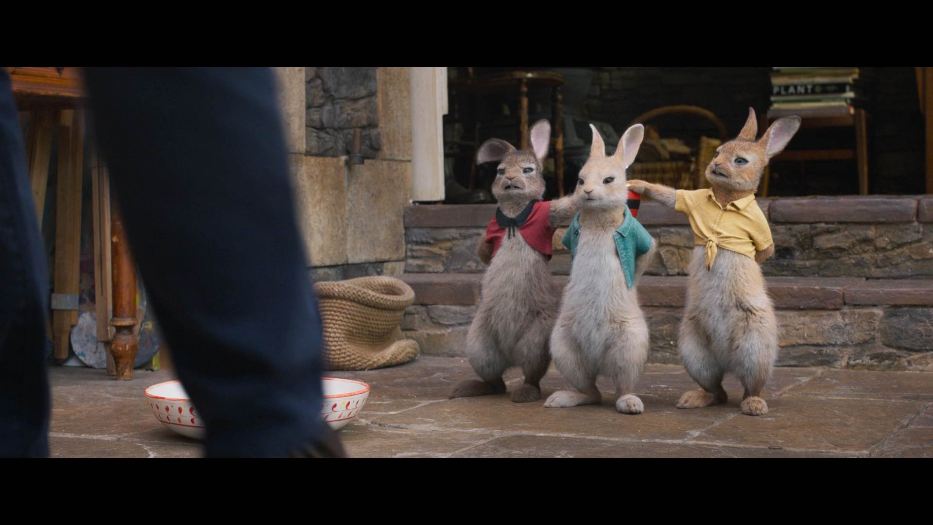 Peter Rabbit 2 Conejo en Fuga 2021 Full HD 1080p Latino Castellano 3