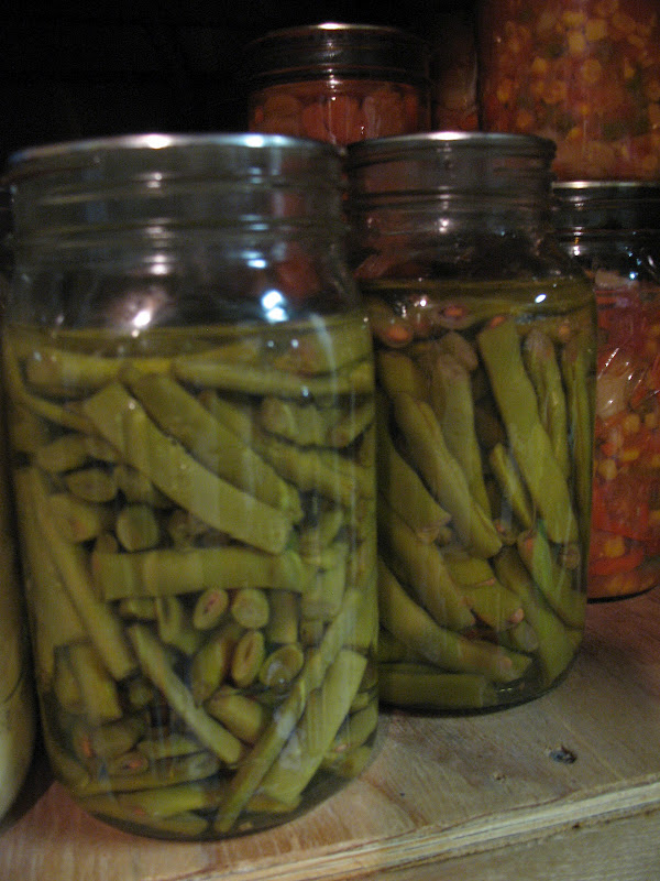 Creative Chicks Canning Green Beans