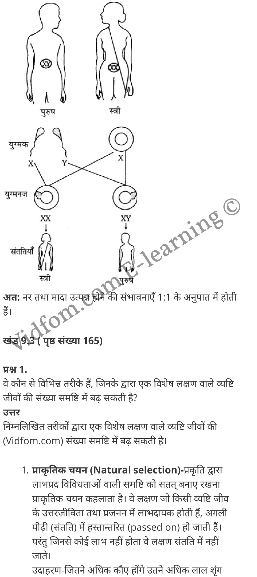 कक्षा 10 विज्ञान के नोट्स हिंदी में एनसीईआरटी समाधान, class 10 Science chapter 9, class 10 Science chapter 9 ncert solutions in Science, class 10 Science chapter 9 notes in hindi, class 10 Science chapter 9 question answer, class 10 Science chapter 9 notes, class 10 Science chapter 9 class 10 Science chapter 9 in hindi, class 10 Science chapter 9 important questions in hindi, class 10 Science hindi chapter 9 notes in hindi, class 10 Science chapter 9 test, class 10 Science chapter 9 class 10 Science chapter 9 pdf, class 10 Science chapter 9 notes pdf, class 10 Science chapter 9 exercise solutions, class 10 Science chapter 9, class 10 Science chapter 9 notes study rankers, class 10 Science chapter 9 notes, class 10 Science hindi chapter 9 notes, class 10 Science chapter 9 class 10 notes pdf, class 10 Science chapter 9 class 10 notes ncert, class 10 Science chapter 9 class 10 pdf, class 10 Science chapter 9 book, class 10 Science chapter 9 quiz class 10 , 10 th class 10 Science chapter 9 book up board, up board 10 th class 10 Science chapter 9 notes, class 10 Science, class 10 Science ncert solutions in Science, class 10 Science notes in hindi, class 10 Science question answer, class 10 Science notes, class 10 Science class 10 Science chapter 9 in hindi, class 10 Science important questions in hindi, class 10 Science notes in hindi, class 10 Science test, class 10 Science class 10 Science chapter 9 pdf, class 10 Science notes pdf, class 10 Science exercise solutions, class 10 Science, class 10 Science notes study rankers, class 10 Science notes, class 10 Science notes, class 10 Science class 10 notes pdf, class 10 Science class 10 notes ncert, class 10 Science class 10 pdf, class 10 Science book, class 10 Science quiz class 10 , 10 th class 10 Science book up board, up board 10 th class 10 Science notes, कक्षा 10 विज्ञान अध्याय 9 , कक्षा 10 विज्ञान, कक्षा 10 विज्ञान अध्याय 9 के नोट्स हिंदी में, कक्षा 10 का विज्ञान अध्याय 9 का प्रश्न उत्तर, कक्षा 10 विज्ञान अध्याय 9 के नोट्स, 10 कक्षा विज्ञान हिंदी में, कक्षा 10 विज्ञान अध्याय 9 हिंदी में, कक्षा 10 विज्ञान अध्याय 9 महत्वपूर्ण प्रश्न हिंदी में, कक्षा 10 हिंदी के नोट्स हिंदी में, विज्ञान हिंदी में कक्षा 10 नोट्स pdf, विज्ञान हिंदी में कक्षा 10 नोट्स 2021 ncert, विज्ञान हिंदी कक्षा 10 pdf, विज्ञान हिंदी में पुस्तक, विज्ञान हिंदी में की बुक, विज्ञान हिंदी में प्रश्नोत्तरी class 10 , 10 वीं विज्ञान पुस्तक up board, बिहार बोर्ड 10 पुस्तक वीं विज्ञान नोट्स, विज्ञान कक्षा 10 नोट्स 2021 ncert, विज्ञान कक्षा 10 pdf, विज्ञान पुस्तक, विज्ञान की बुक, विज्ञान प्रश्नोत्तरी class 10, कक्षा 10 विज्ञान, कक्षा 10 विज्ञान के नोट्स हिंदी में, कक्षा 10 का विज्ञान का प्रश्न उत्तर, कक्षा 10 विज्ञान के नोट्स, 10 कक्षा विज्ञान 2021 हिंदी में, कक्षा 10 विज्ञान हिंदी में, कक्षा 10 विज्ञान महत्वपूर्ण प्रश्न हिंदी में, कक्षा 10 विज्ञान हिंदी के नोट्स हिंदी में, विज्ञान हिंदी कक्षा 10 नोट्स pdf, विज्ञान हिंदी कक्षा 10 नोट्स 2021 ncert, विज्ञान हिंदी कक्षा 10 pdf, विज्ञान हिंदी पुस्तक, विज्ञान हिंदी की बुक, विज्ञान हिंदी प्रश्नोत्तरी class 10 , 10 वीं विज्ञान पुस्तक up board, बिहार बोर्ड 10 पुस्तक वीं विज्ञान नोट्स, विज्ञान कक्षा 10 नोट्स 2021 ncert, विज्ञान कक्षा 10 pdf, विज्ञान पुस्तक, विज्ञान की बुक, विज्ञान प्रश्नोत्तरी class 10, 10th Science book in hindi, 10th Science notes in hindi, cbse books for class 10 , cbse books in hindi, cbse ncert books, class 10 Science notes in hindi, class 10 Science hindi ncert solutions, Science 2020, Science 2021,