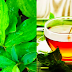 This Wonder Plant and Most Effective Way to Cure Diabetes & Other Health Issues, Health Experts Recommend This to Drink