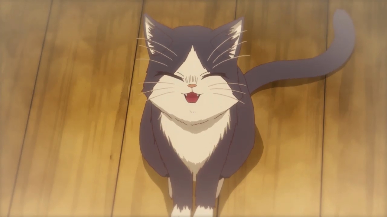 Get Trailer 3 De Doukyonin Wa Hiza Tokidoki Atama No Ue Grupo Free HD Wallpaper Trailer 3 De Doukyonin Wa Hiza Tokidoki Atama No Ue Grupo Desktop Wallpaper Free