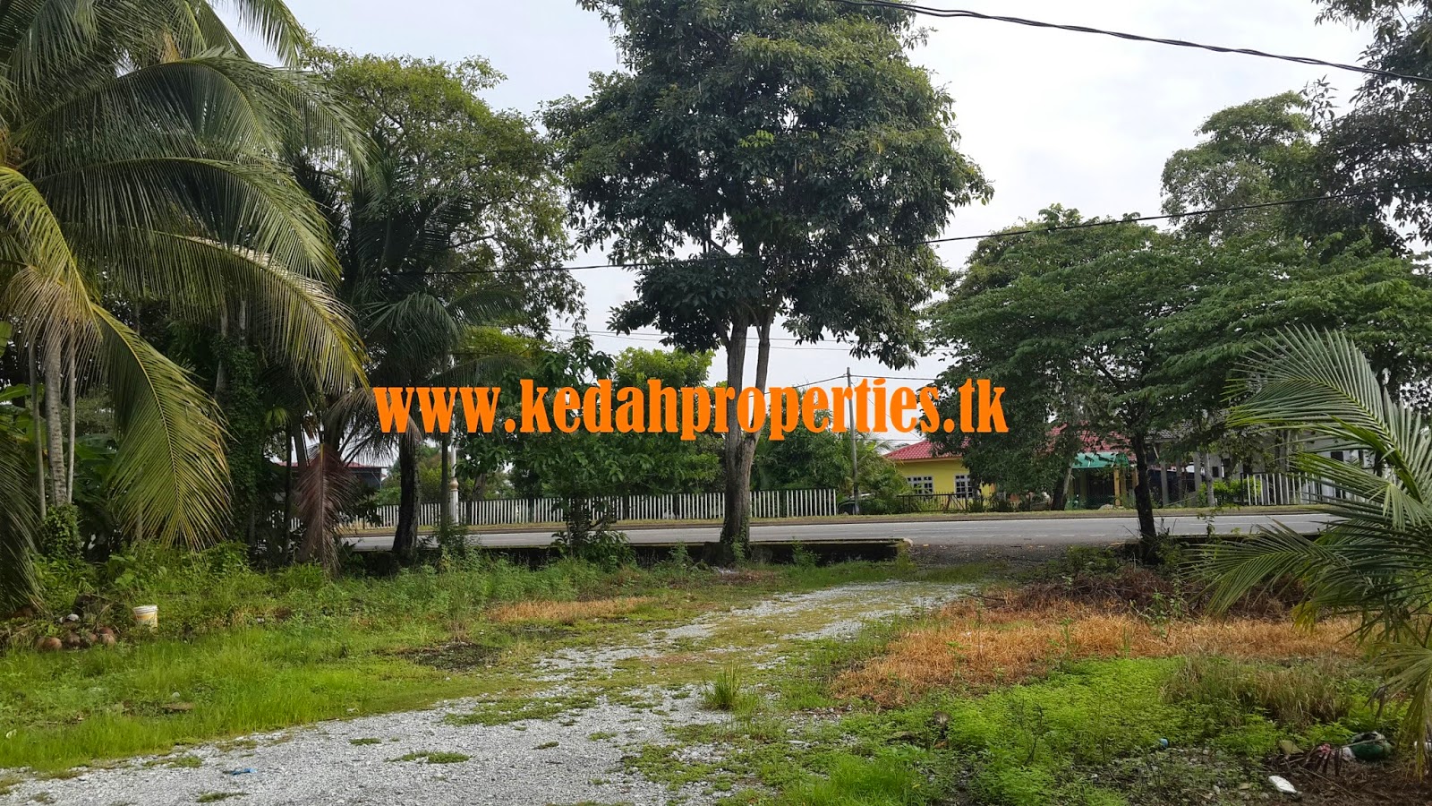 TANAH LOT DI KEDAH UNTUK DIJUAL MURAH