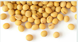 Benefits Of Soybean In Hindi