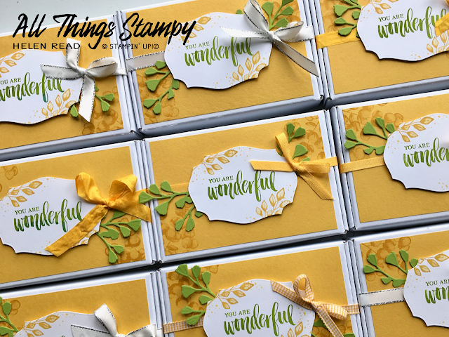 Mini Paper Pumpkin Boxes Allthingsstampy Helen Read Stampin Up