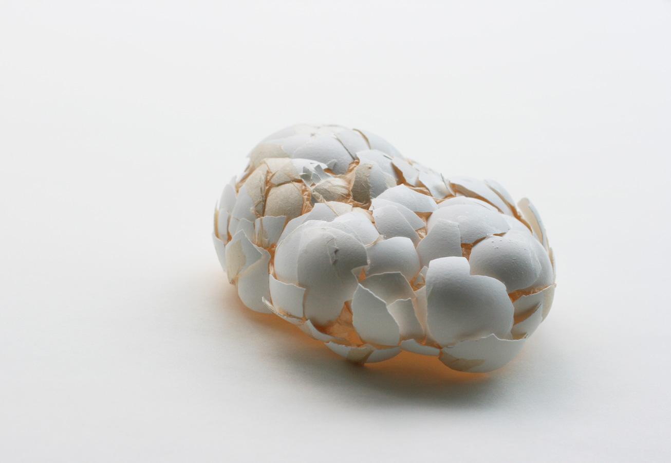 Womb, 2012. eggshells & paper.