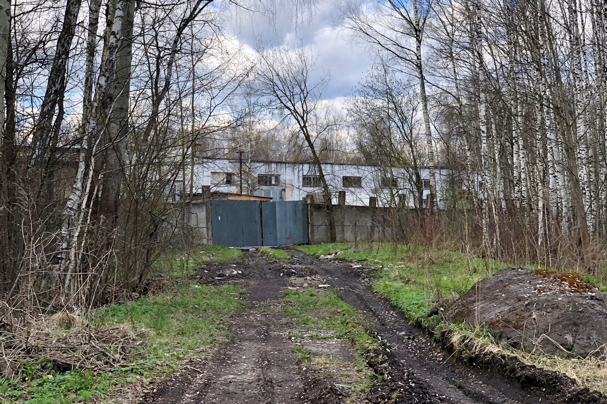 2021: Лосиный остров