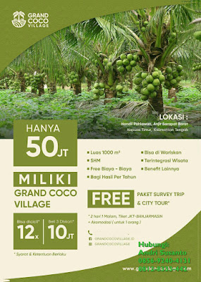Kavling Kelapa Kebun di Kalimantan - Investasi Kavling Produktif Grand Coco Village Kavling Kelapa Kebun di Kalimantan - Investasi Kavling Produktif Grand Coco Village