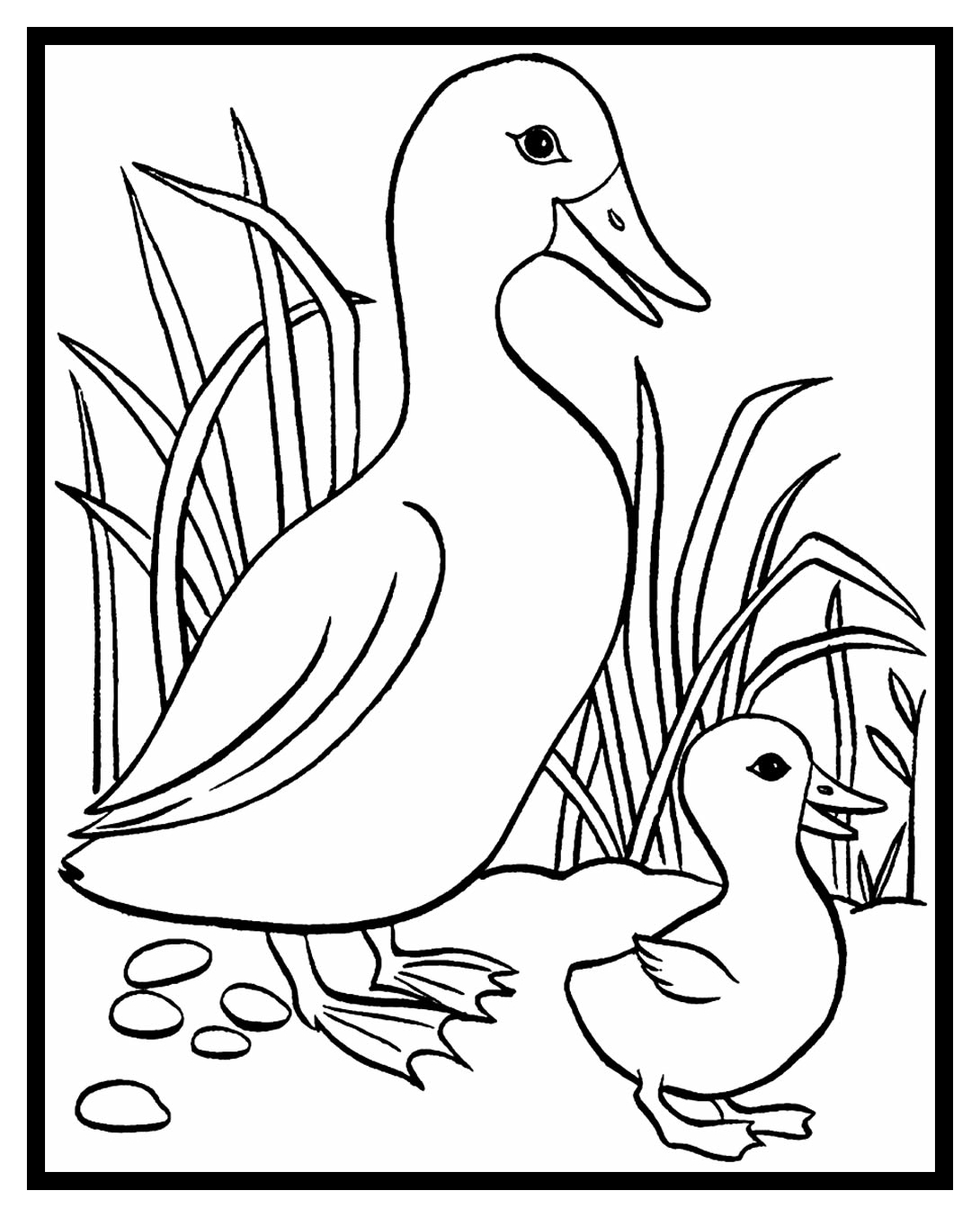 Schöne Dinge Malvorlagen Ente Schöne Dinge Malvorlagen Ente