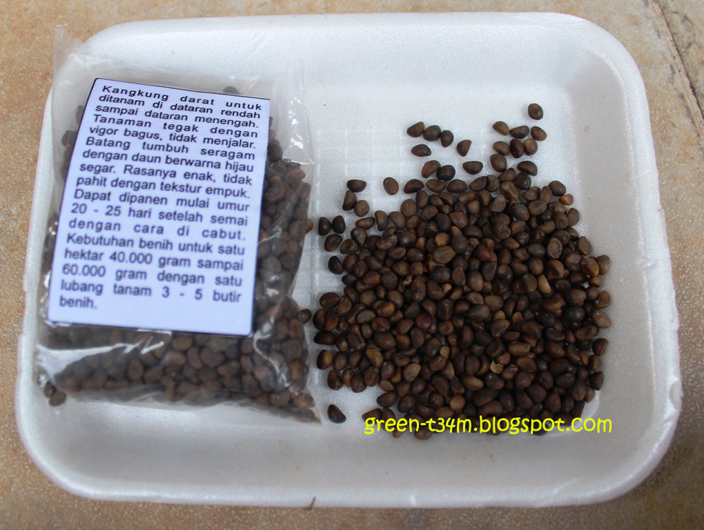 The Green Team Indonesia I Plant my Own Kangkong!