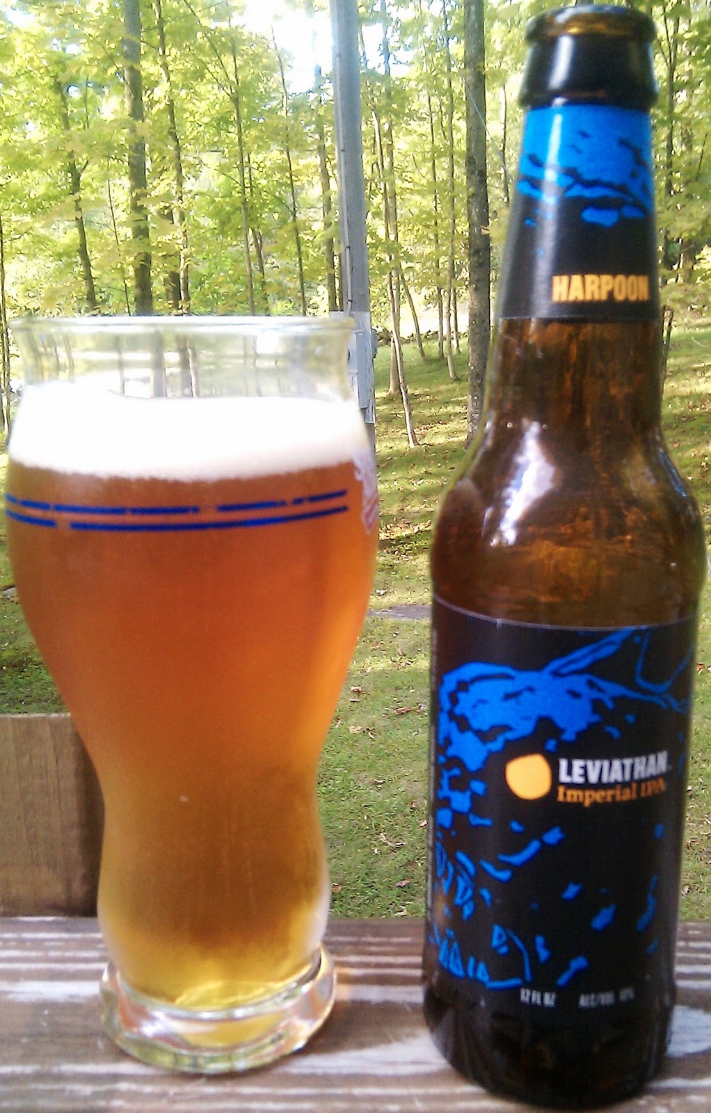 review of harpoon ipa review of harpoon ipa