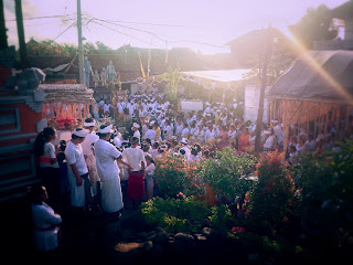 The Atmosphere Of The Crowd In The Big Ngeteg Lingggih Ceremony At Ringdikit Village