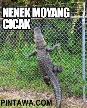 kata kata motivasi mutiara