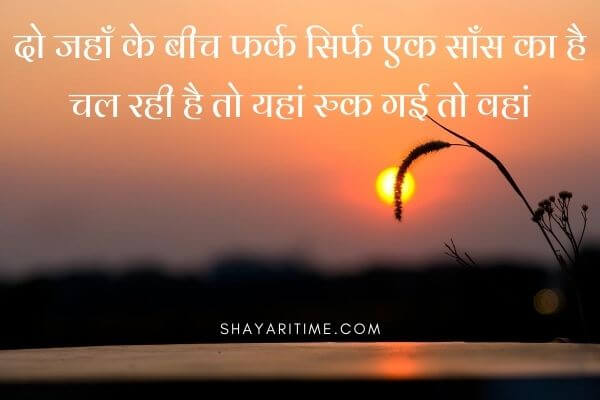 shayari