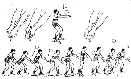 Teknik Passing Atas dan Bawah Bola Voli Beserta Bentuk Latihannya