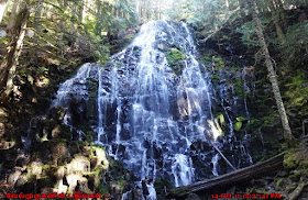 Ramona Falls Mount Hood Oregon