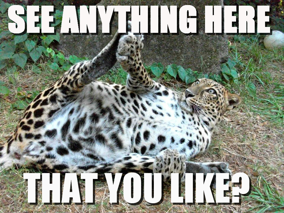 Amazing Creatures 30 Funny Animal Captions Part 7 30 Pics amazing-creatures-30-funny-animal-captions-part-7-30-pics