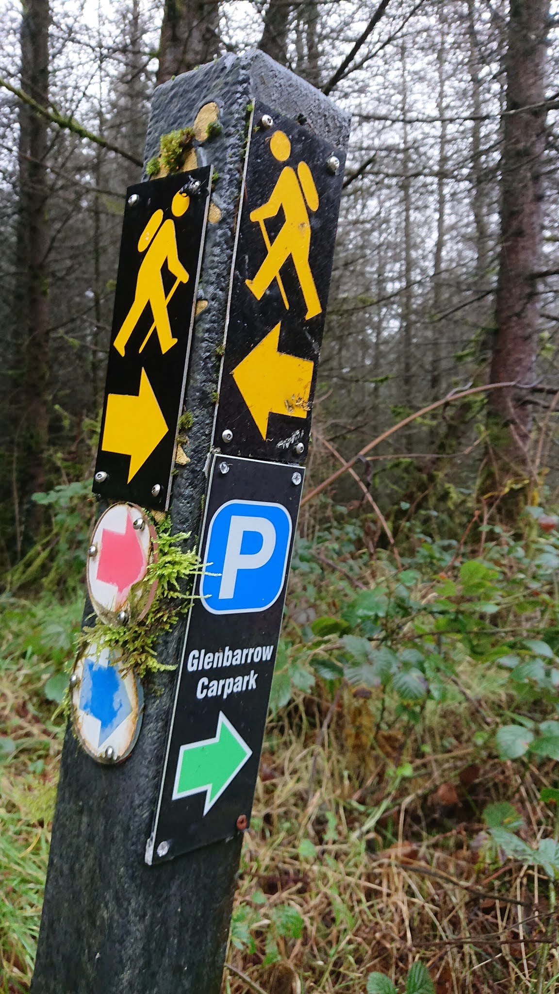 The Slieve Blooms A Cut Above The Rest